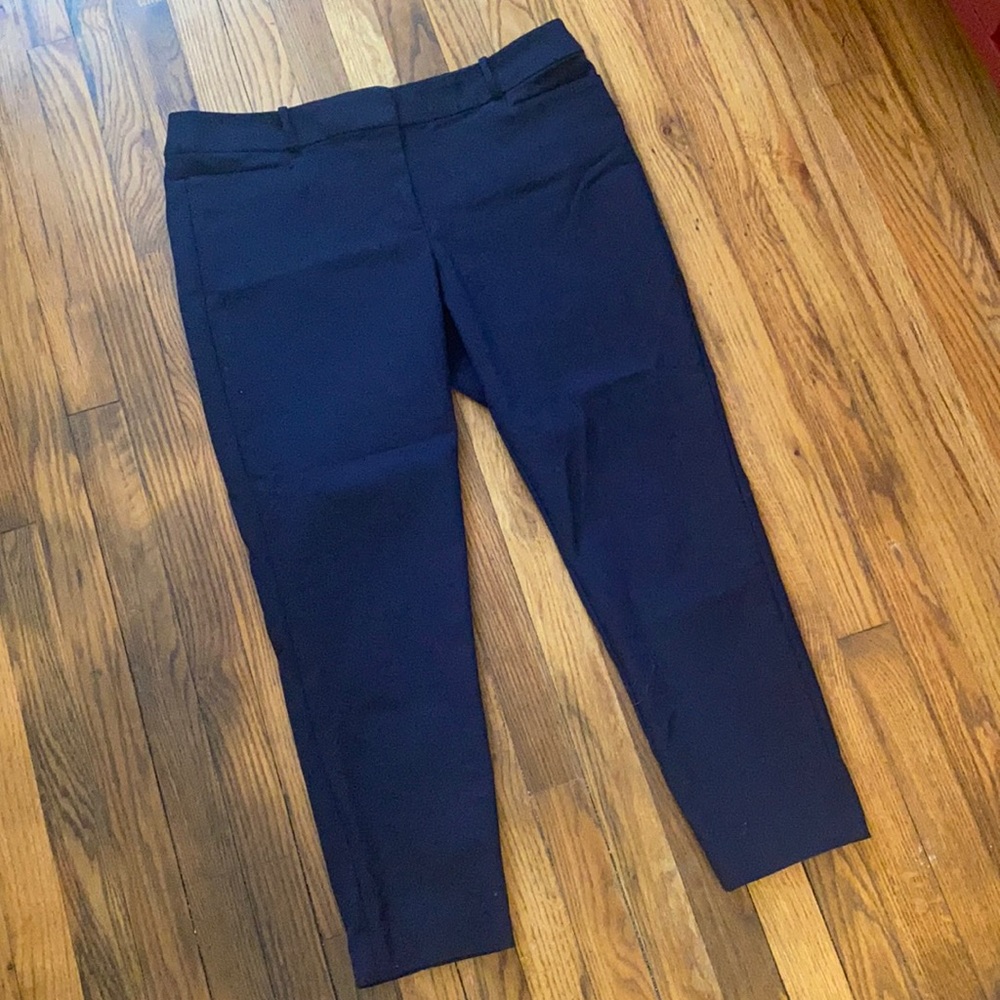 LOFT Navy Blue Professional Pants